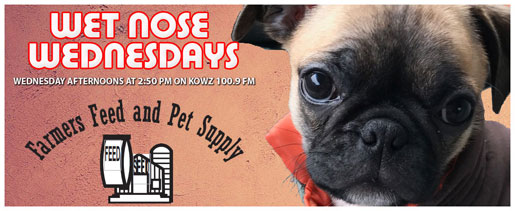 Wet Nose Wednesdays on KOWZ 100.9 FM